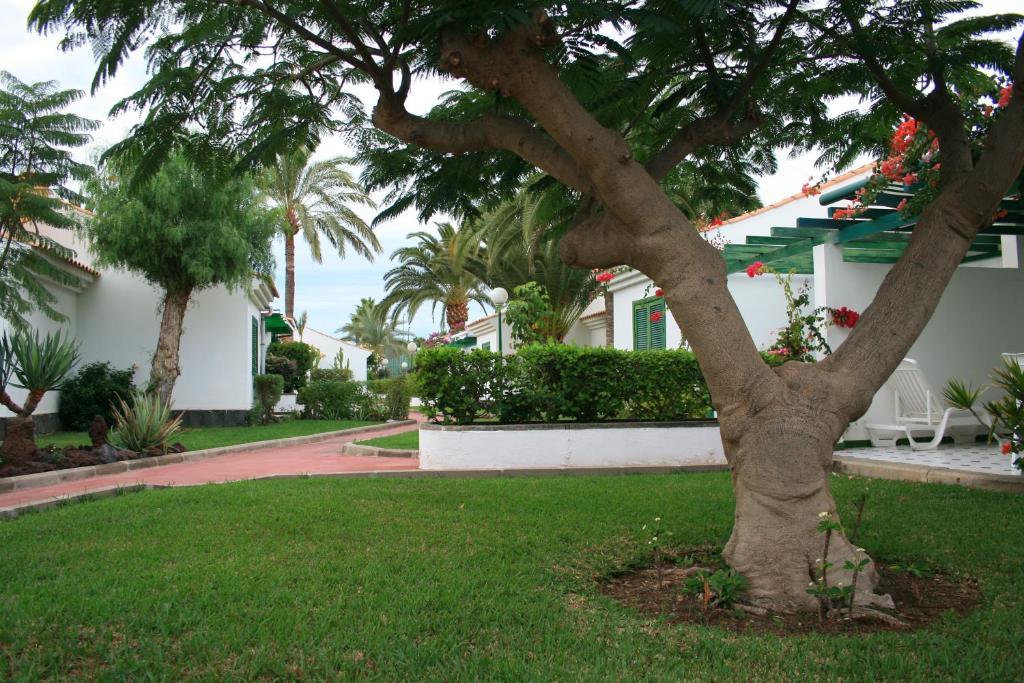 Bungalows Campo Golf Maspalomas  Eksteriør bilde