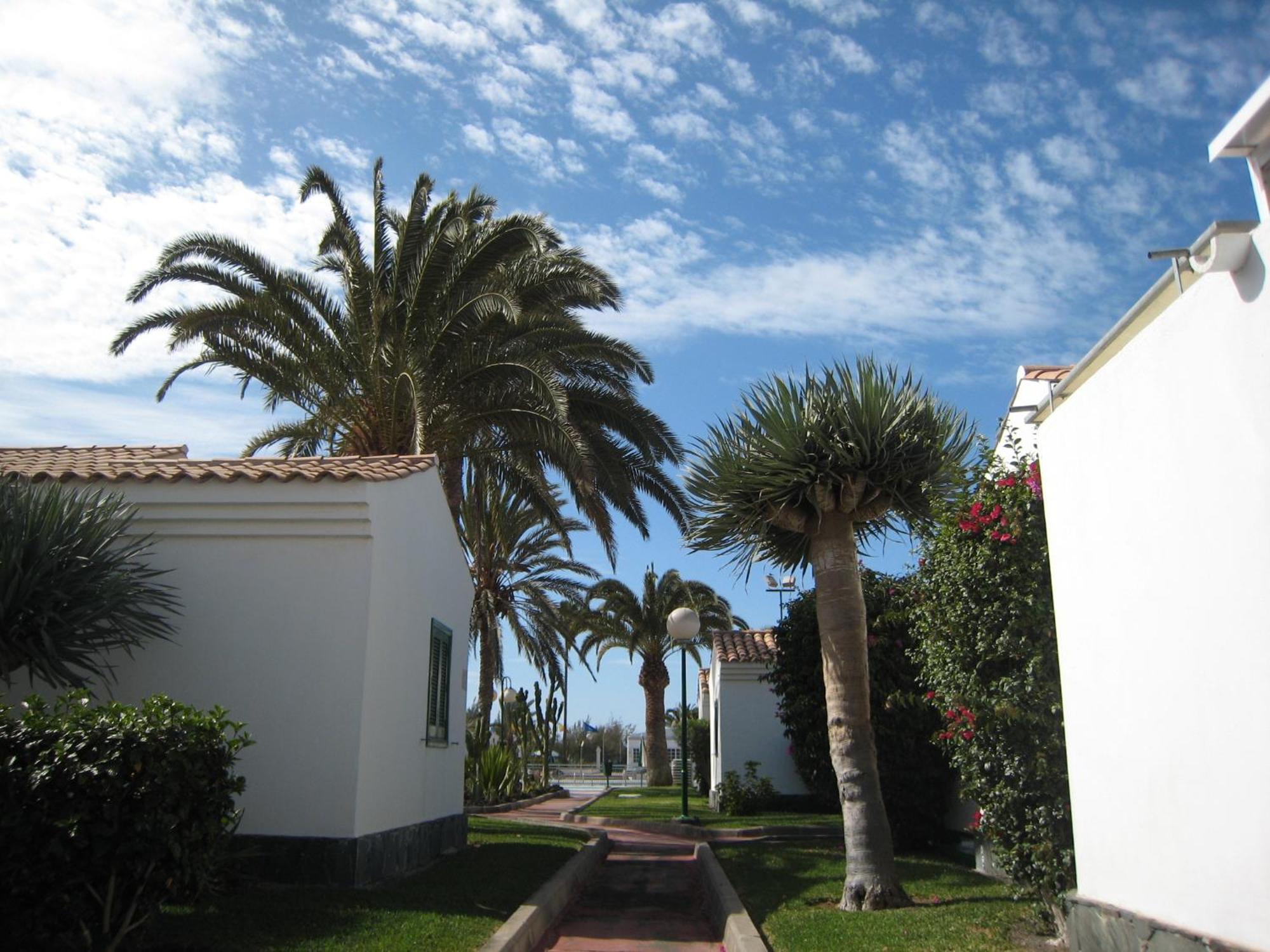 Bungalows Campo Golf Maspalomas  Eksteriør bilde